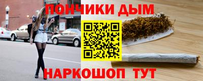 шишки Жуковский