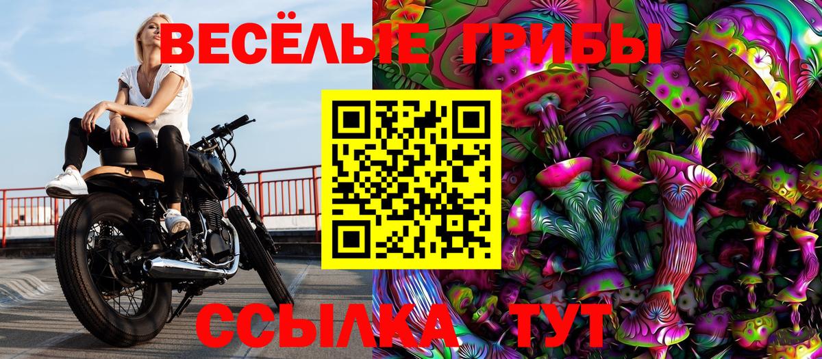 Галлюциногенные грибы MAGIC MUSHROOMS Кирово-Чепецк