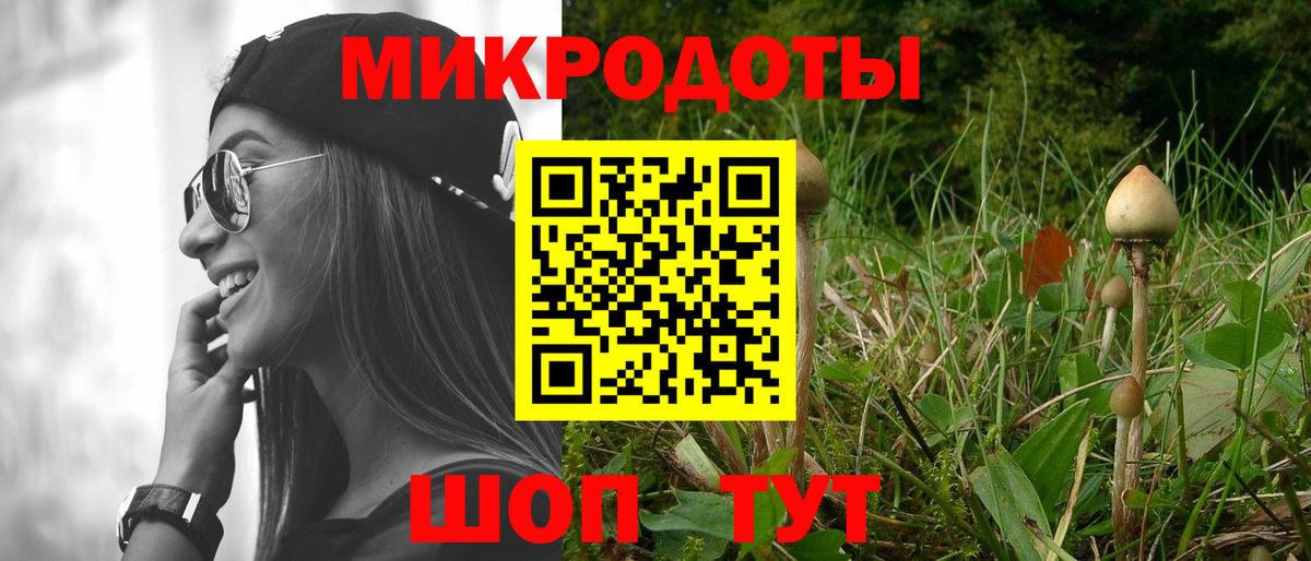 Псилоцибиновые грибы Psilocybine cubensis  Вход с VPN  Кирово-Чепецк 